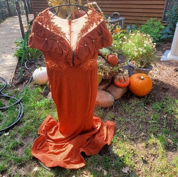 Bee Queen by Reseda Maxi Event Embellished Fall Orange Sz 12/XL/44 Dress Costume - Picture 1 of 9